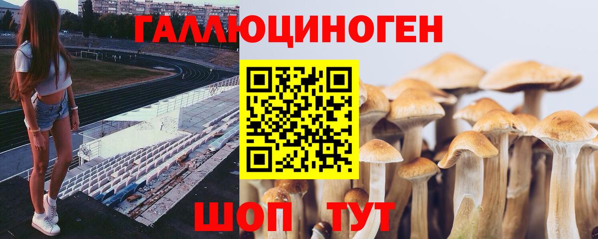 Галлюциногенные грибы прущие грибы  Вход с VPN  Псилоцибиновые грибы Psilocybine cubensis  Дедовск 